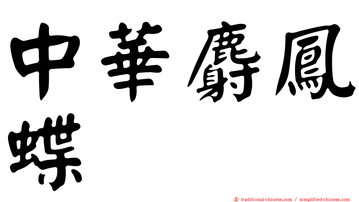 中華麝鳳蝶