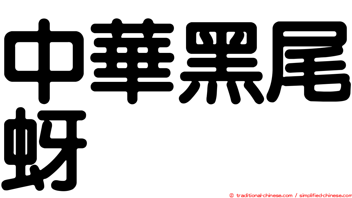 中華黑尾蚜