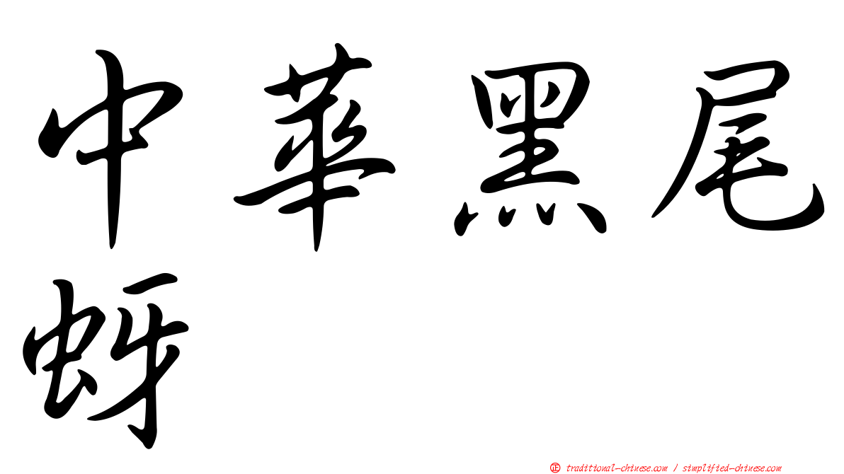 中華黑尾蚜