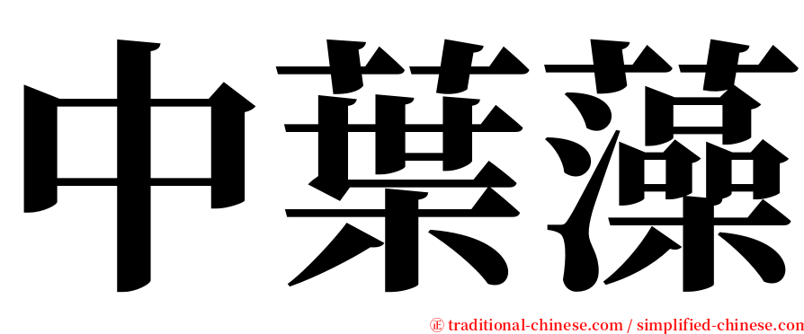 中葉藻 serif font