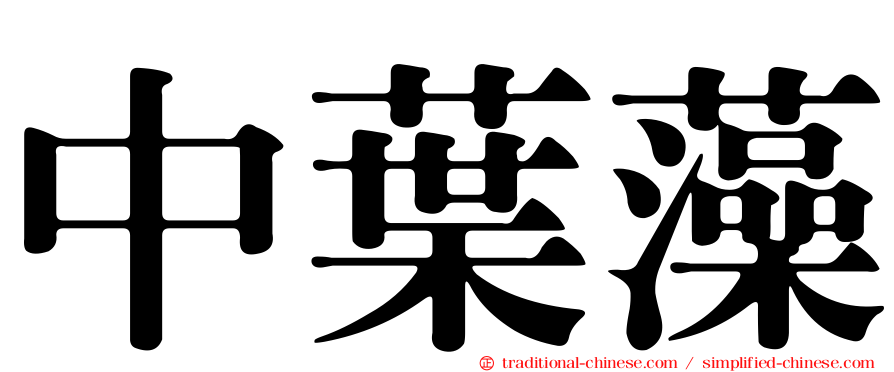 中葉藻