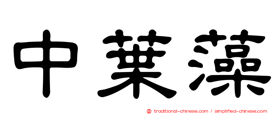 中葉藻