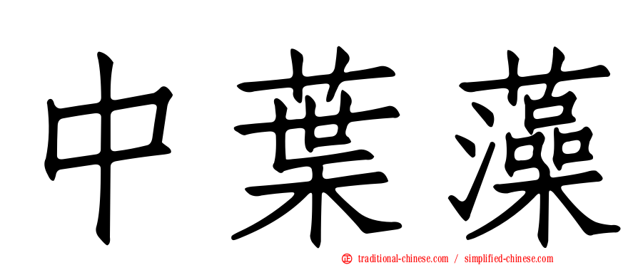 中葉藻