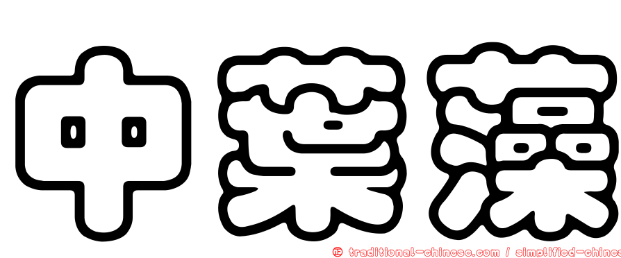 中葉藻