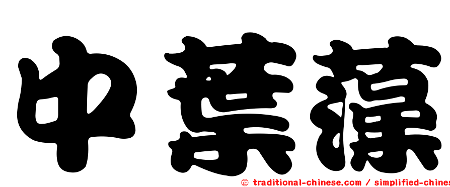中葉藻