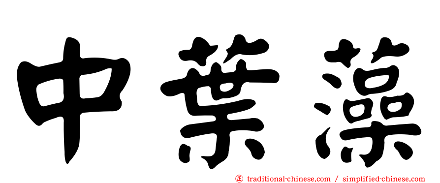 中葉藻