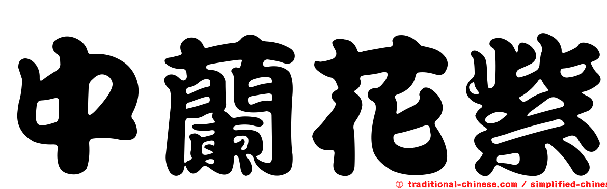 中蘭花紫