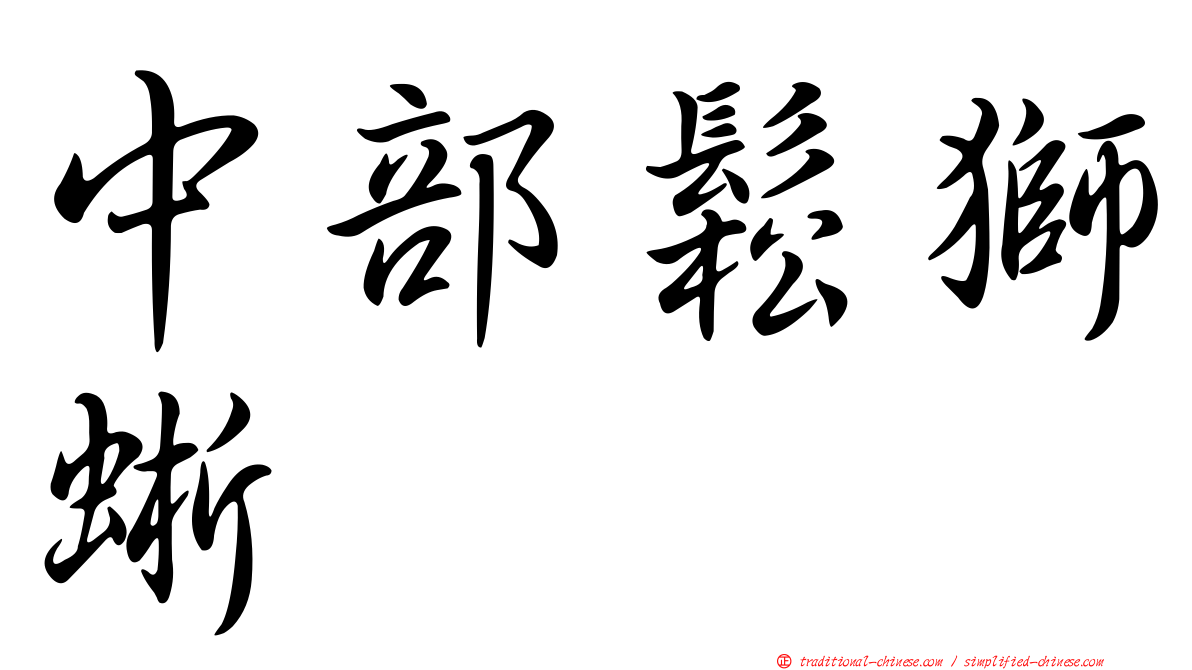 中部鬆獅蜥