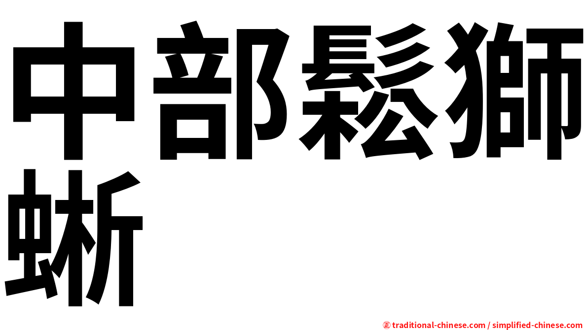 中部鬆獅蜥