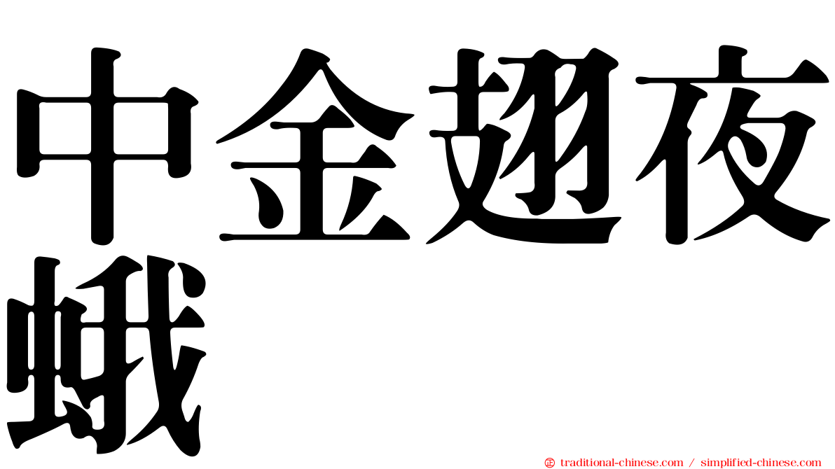 中金翅夜蛾