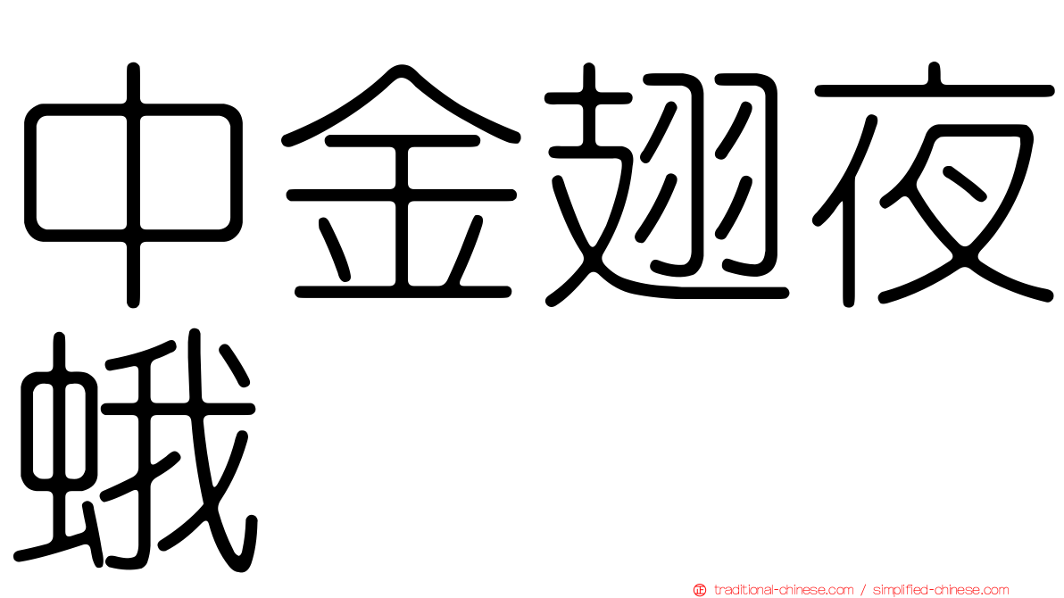 中金翅夜蛾