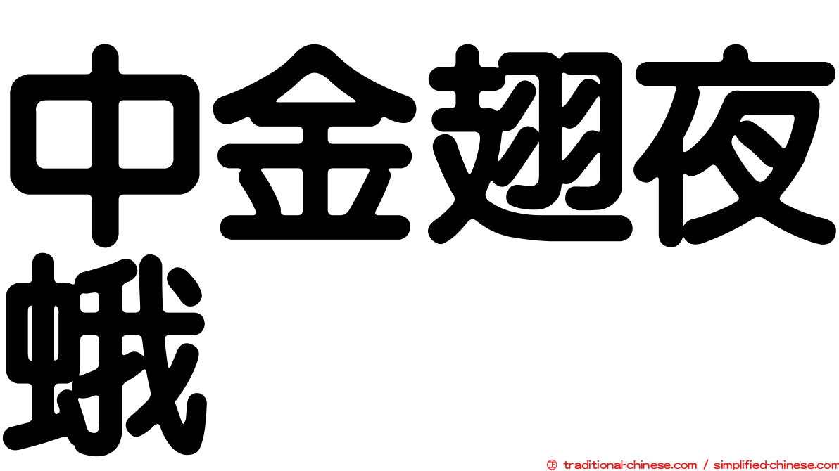 中金翅夜蛾