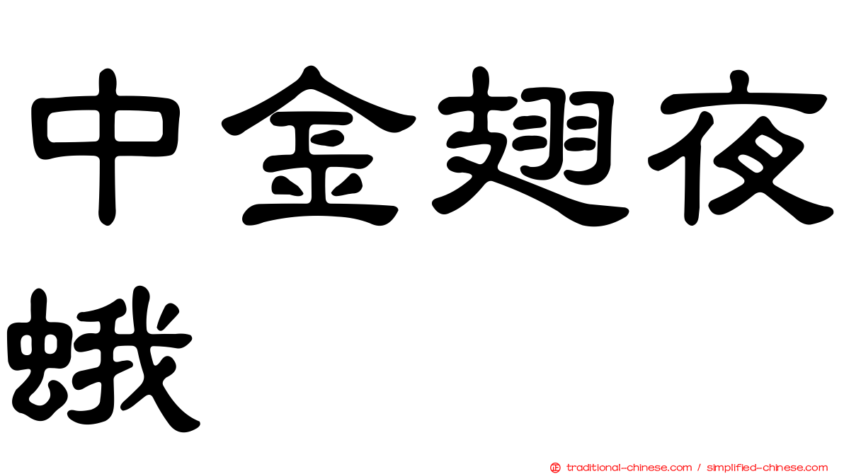 中金翅夜蛾