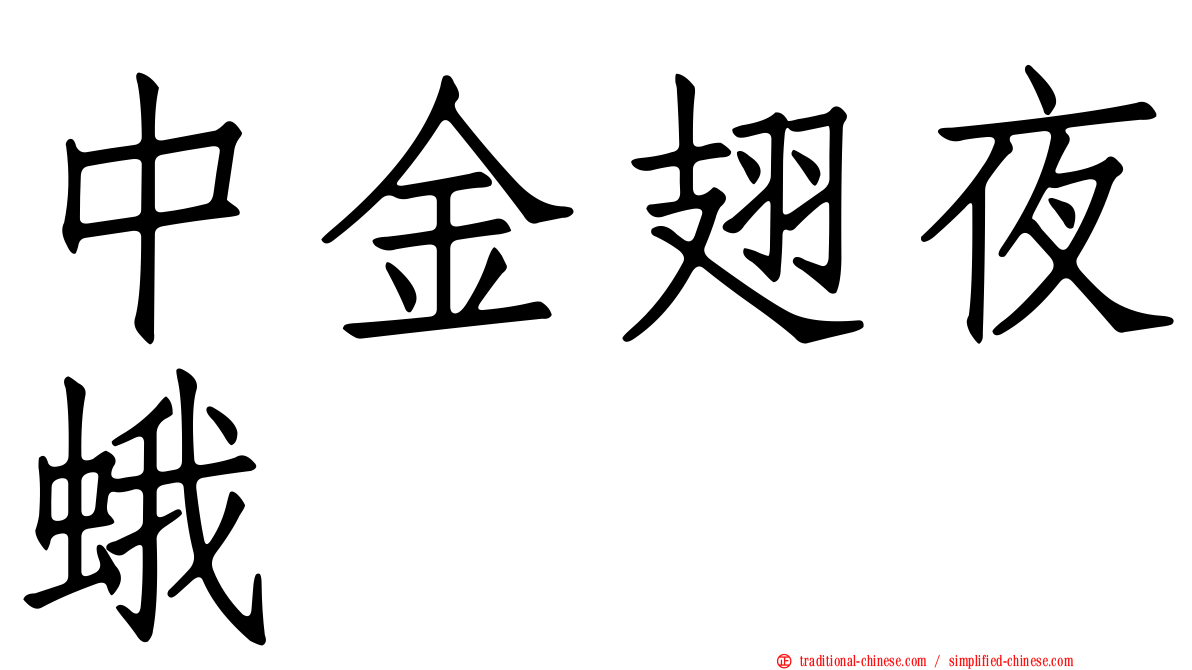 中金翅夜蛾