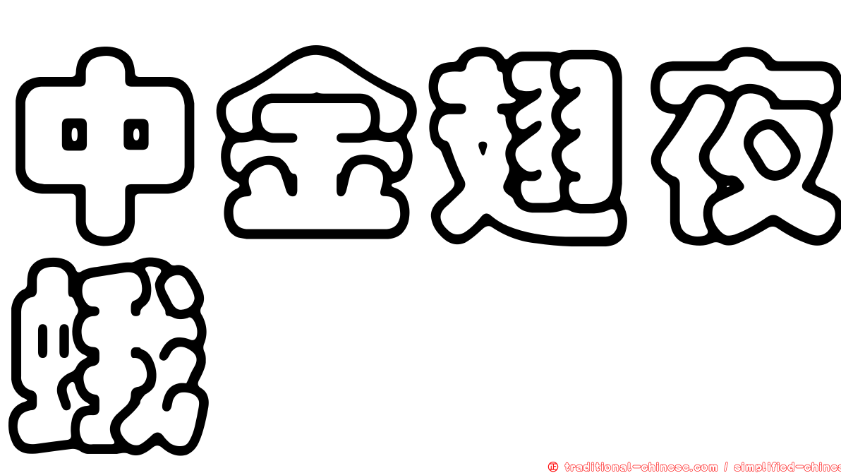 中金翅夜蛾