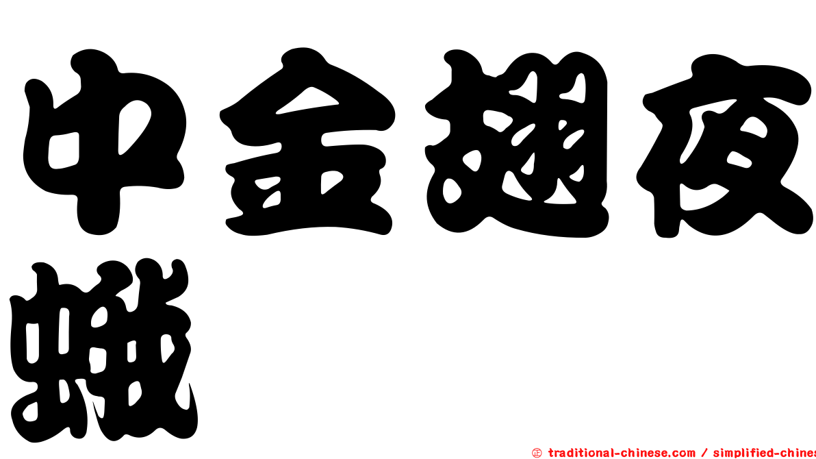 中金翅夜蛾