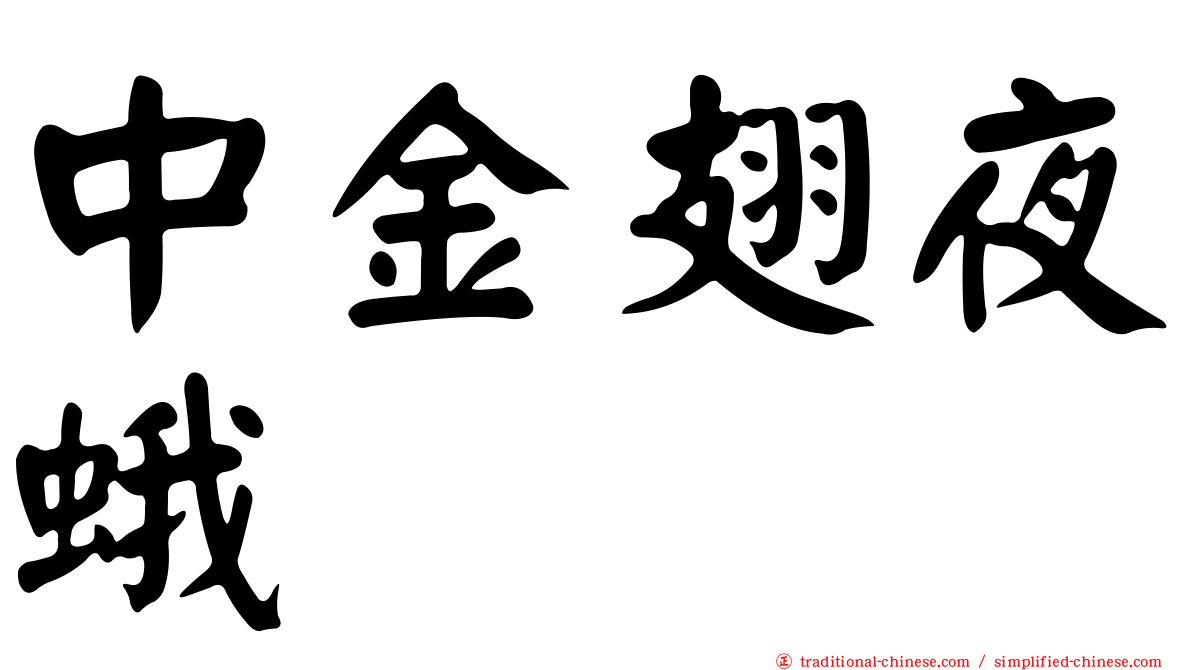 中金翅夜蛾