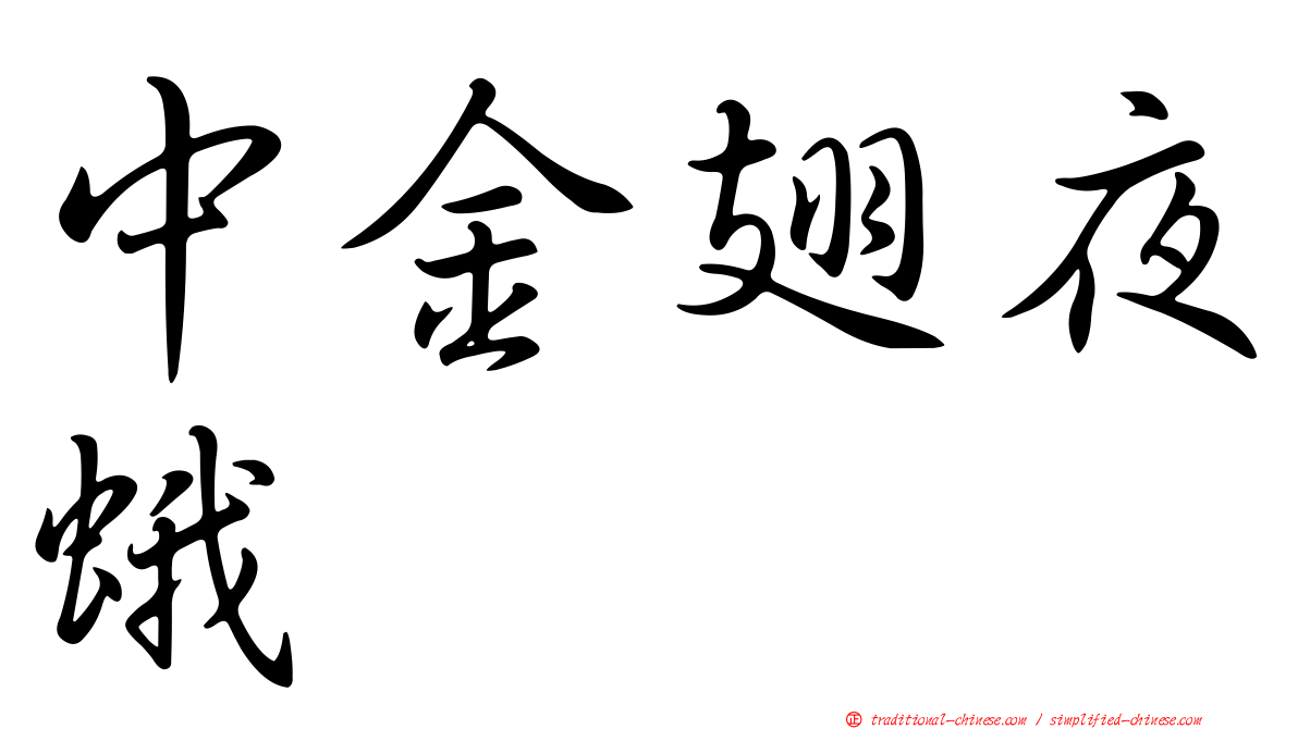 中金翅夜蛾