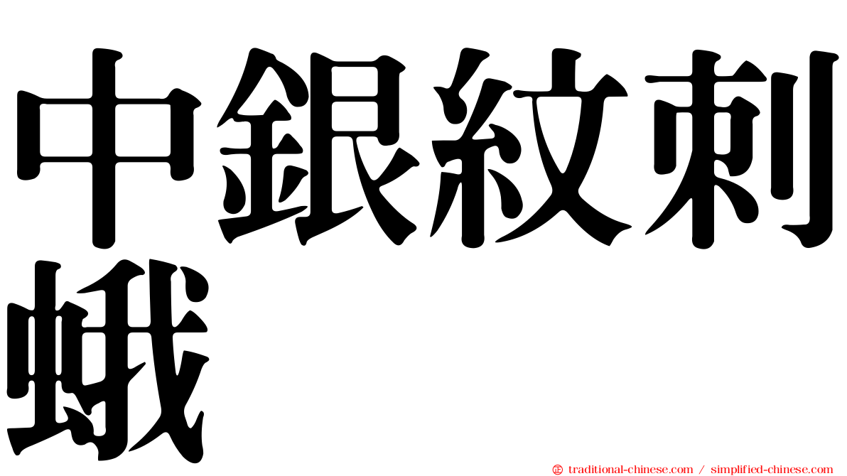 中銀紋刺蛾