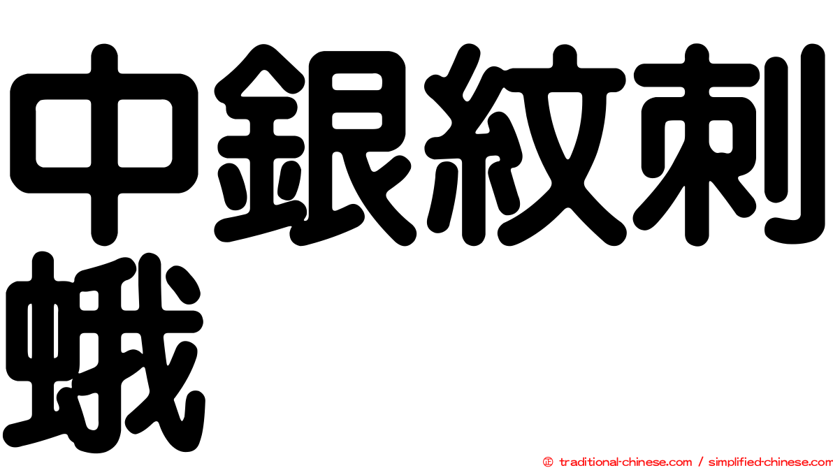 中銀紋刺蛾