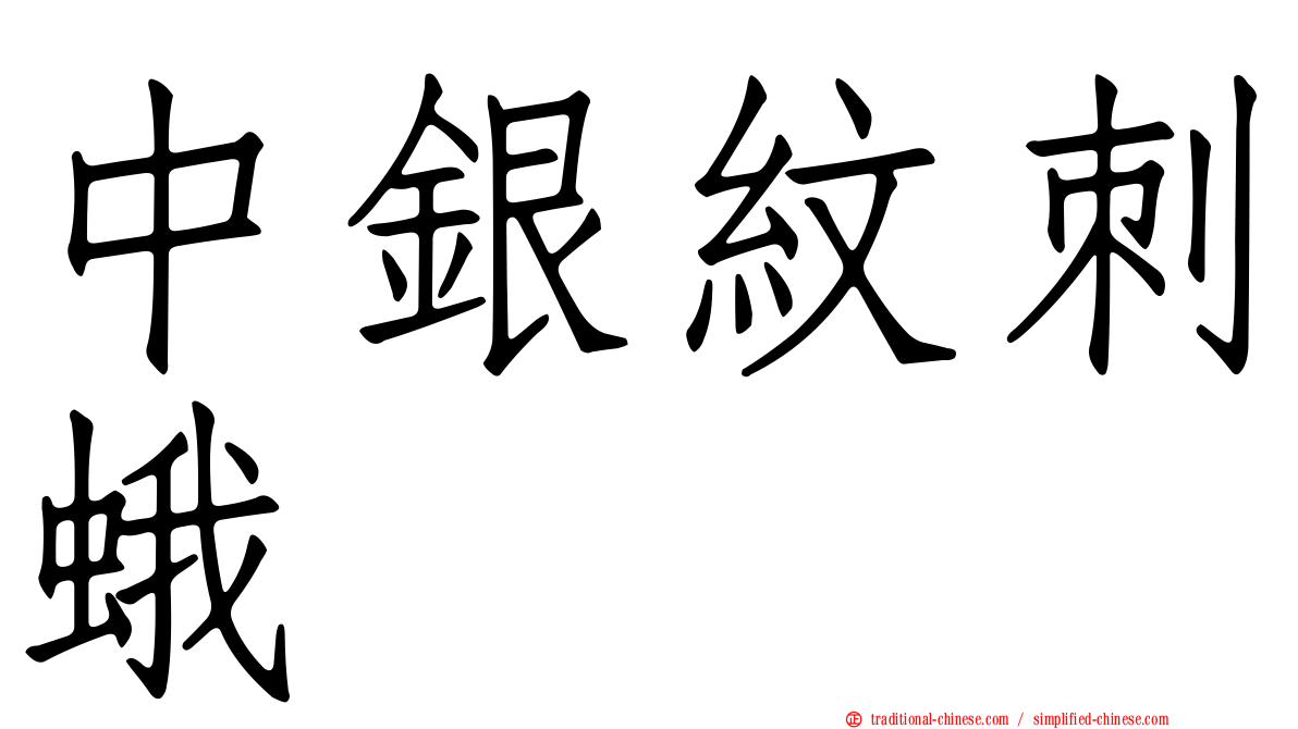 中銀紋刺蛾
