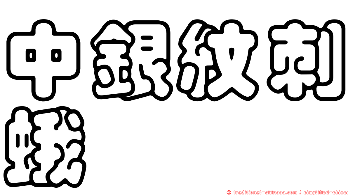中銀紋刺蛾