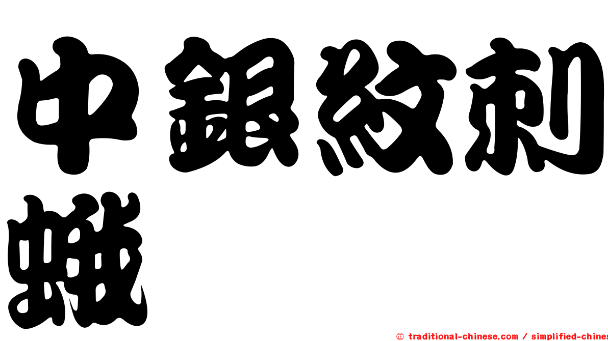 中銀紋刺蛾