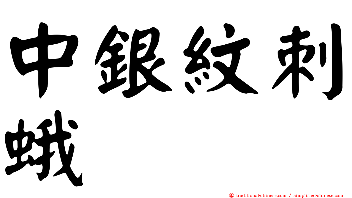 中銀紋刺蛾