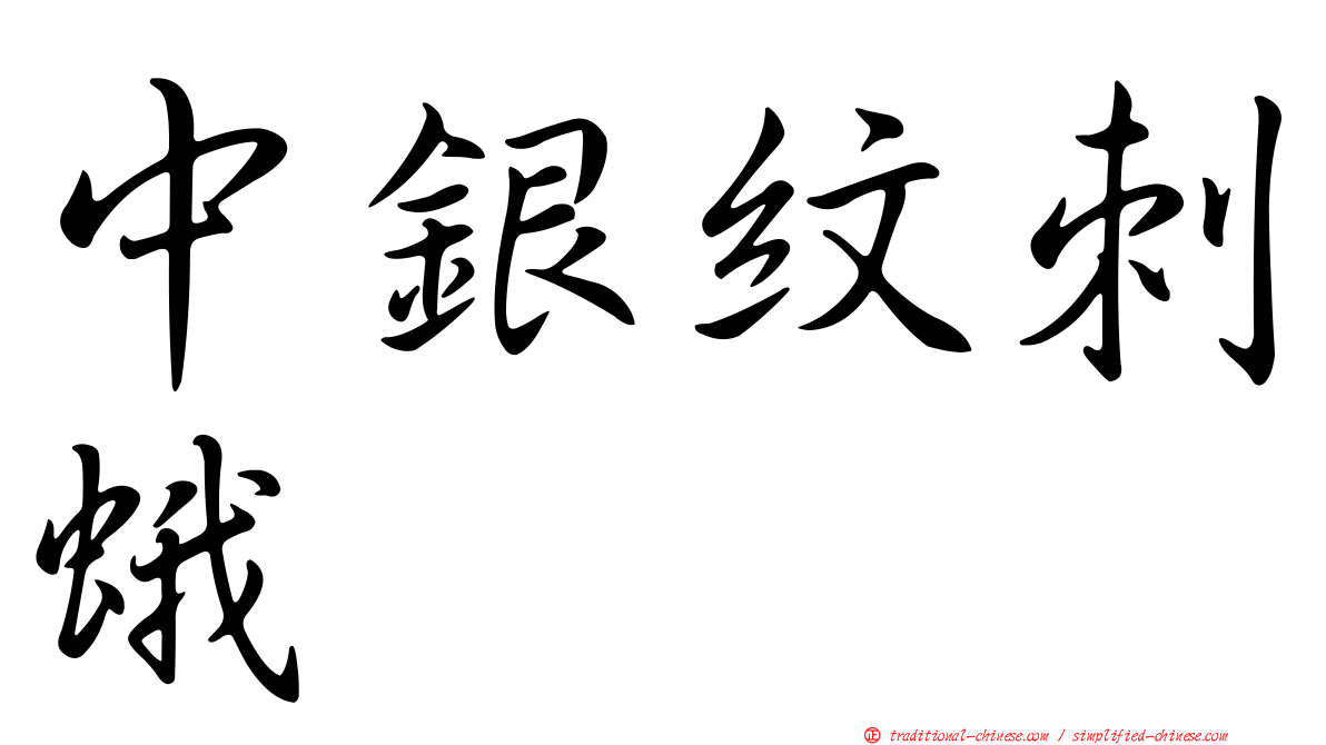 中銀紋刺蛾