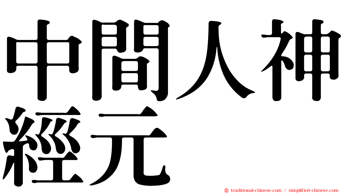 中間人神經元