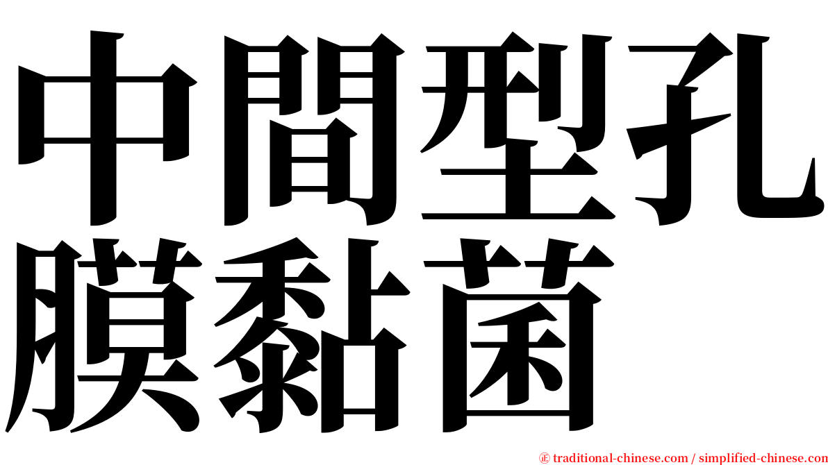 中間型孔膜黏菌 serif font