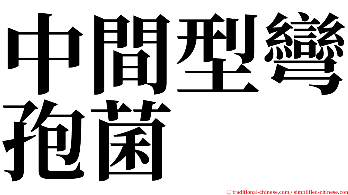 中間型彎孢菌 serif font