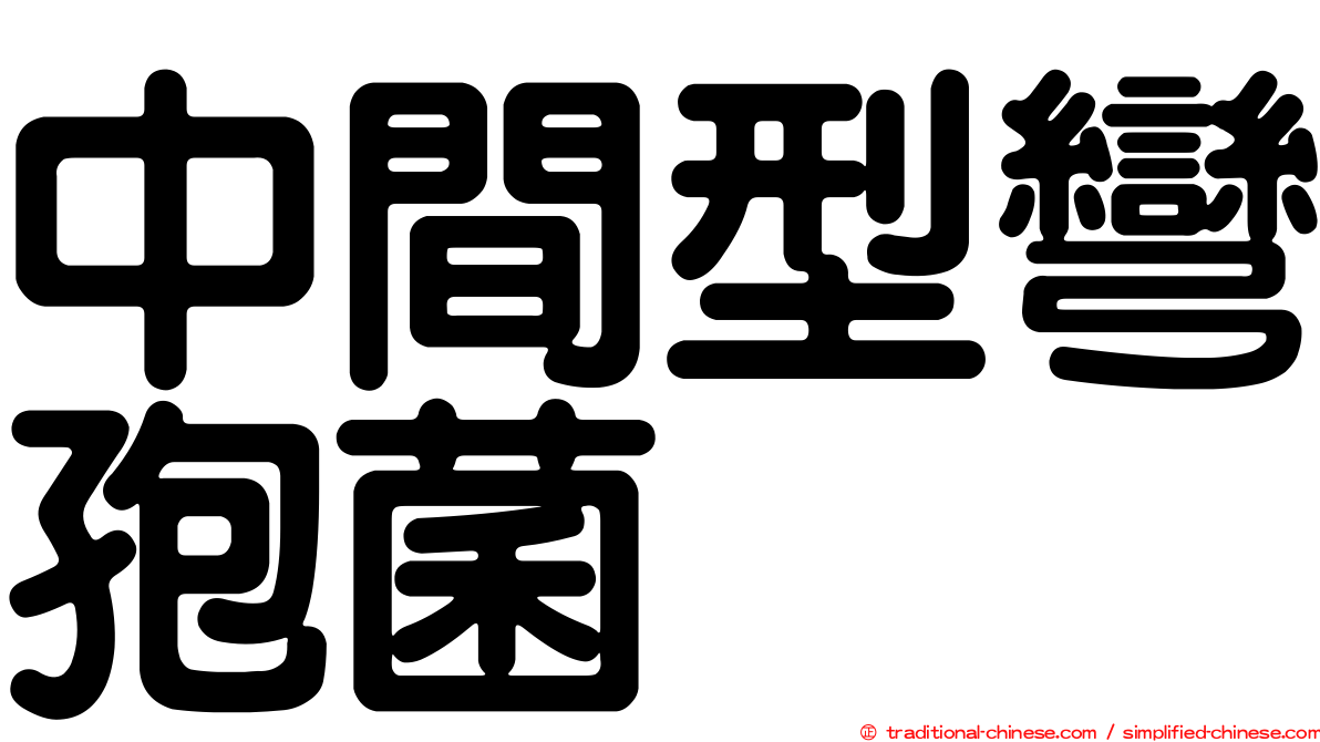 中間型彎孢菌