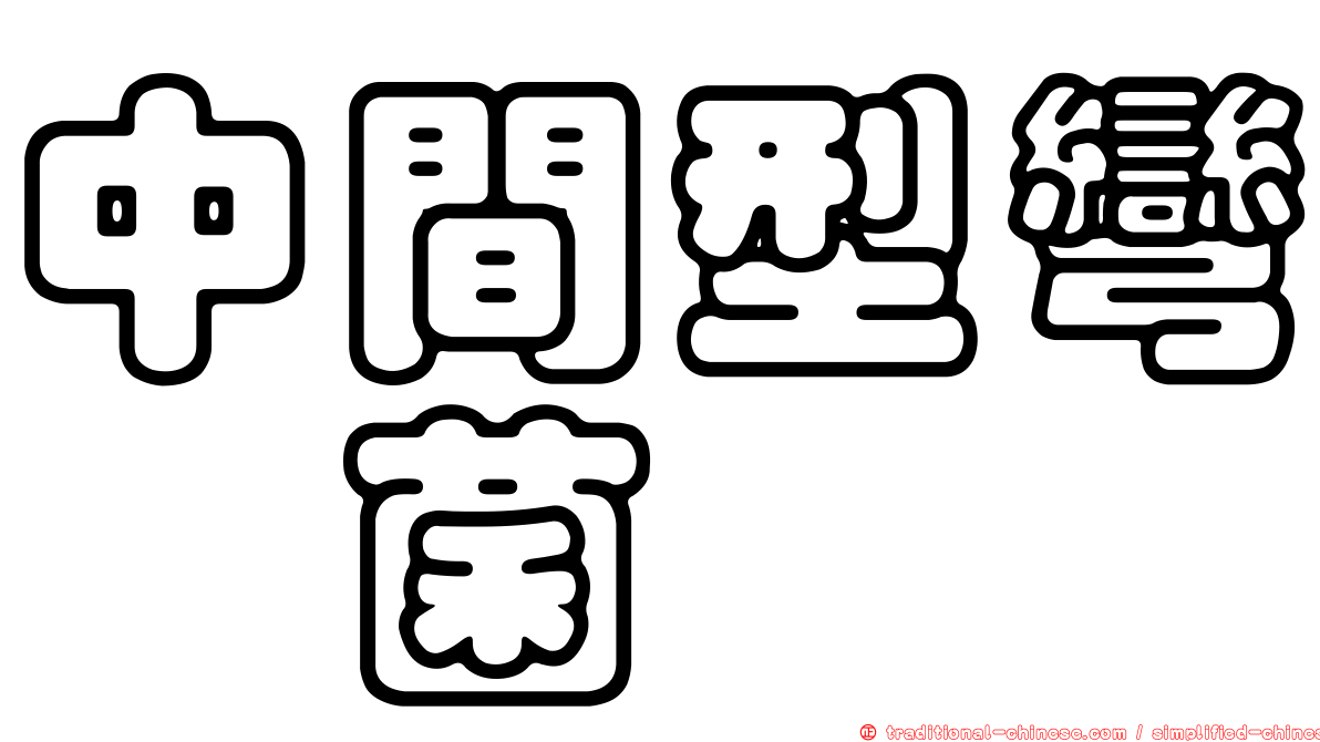 中間型彎孢菌