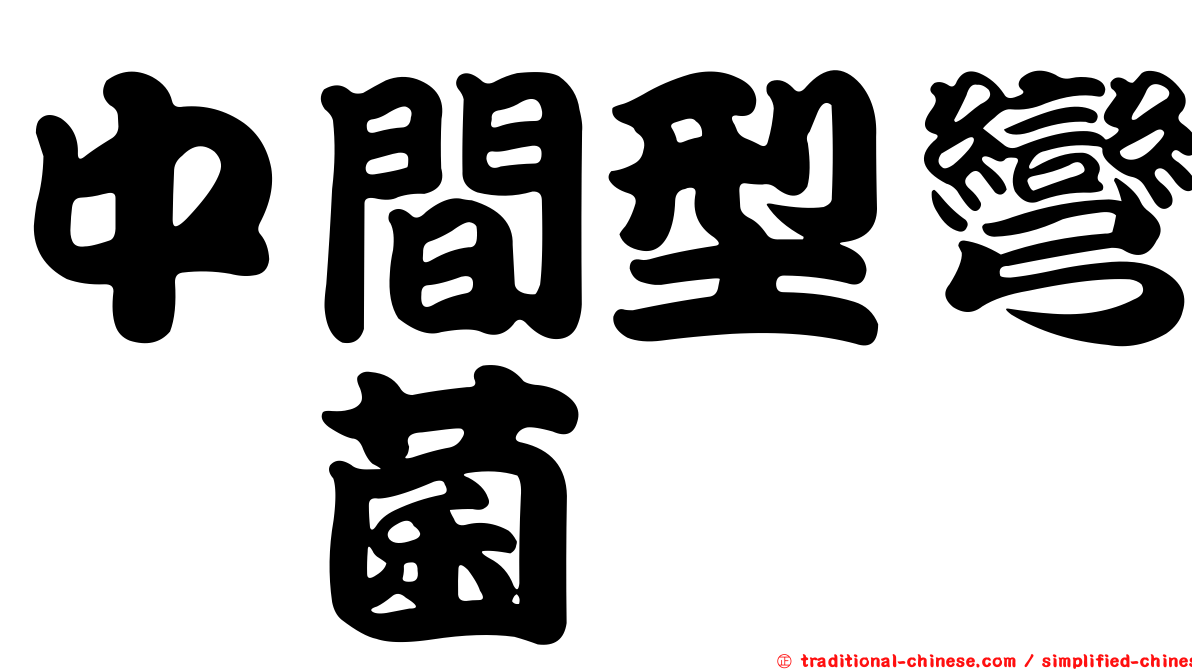 中間型彎孢菌