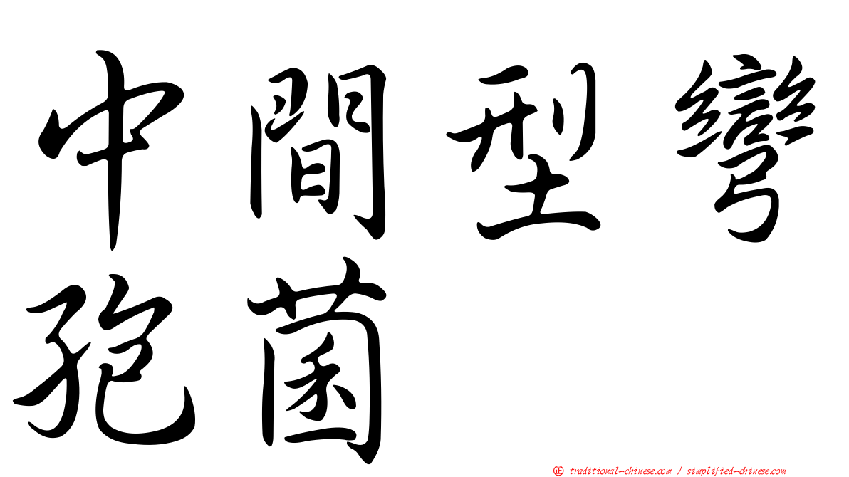 中間型彎孢菌