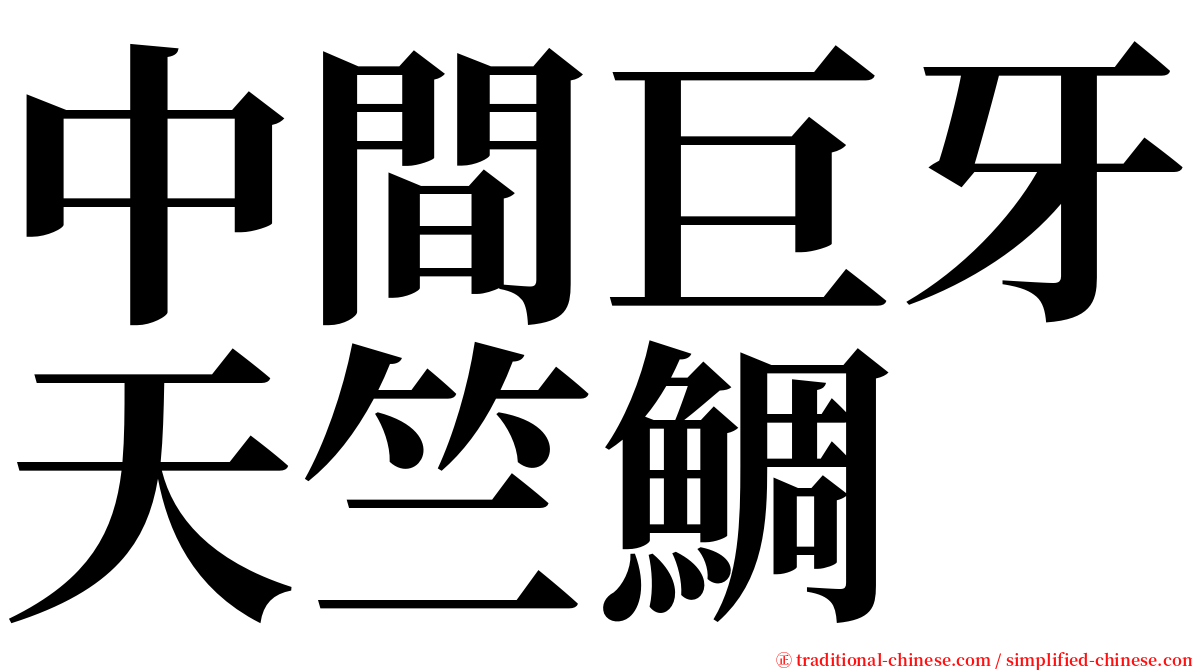 中間巨牙天竺鯛 serif font
