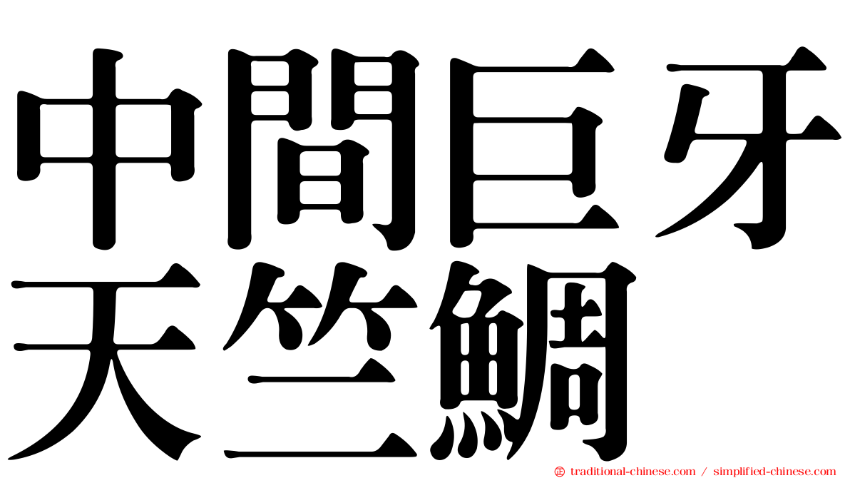 中間巨牙天竺鯛