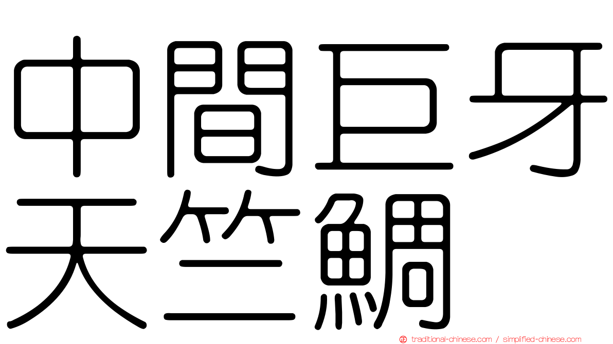 中間巨牙天竺鯛