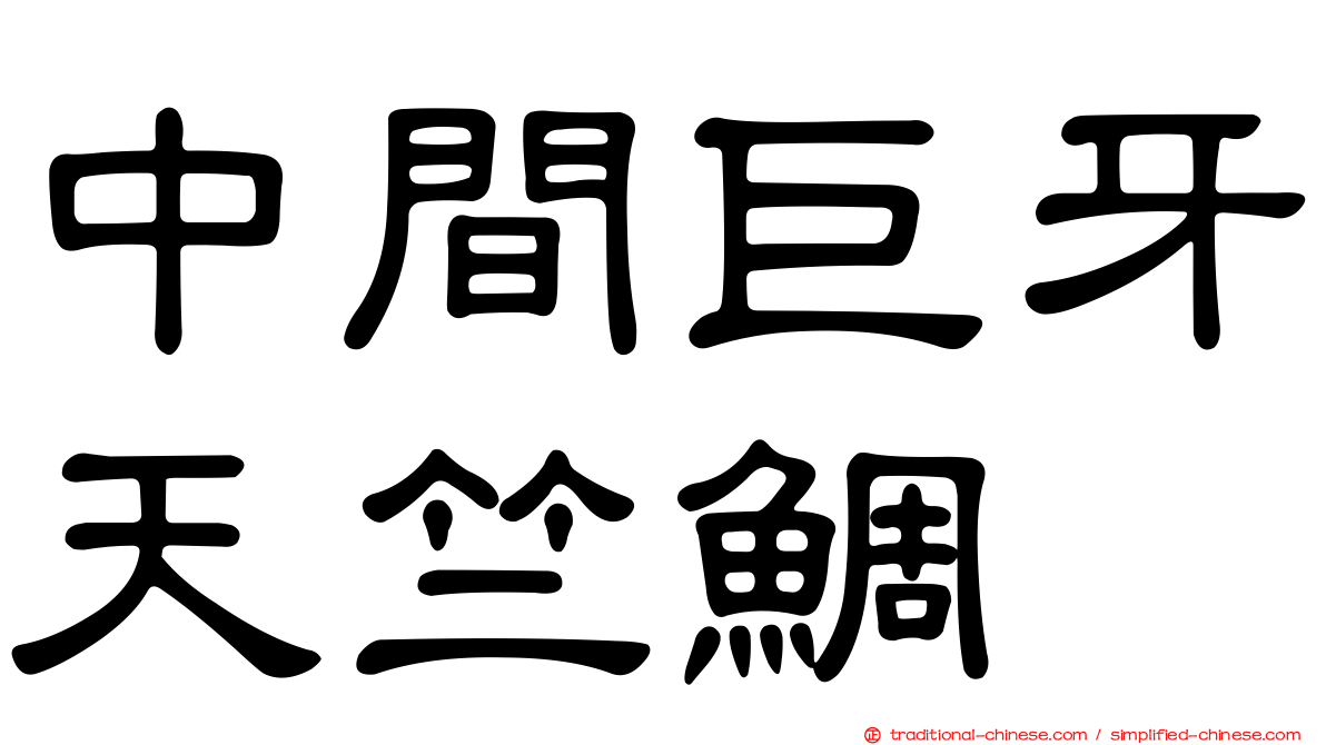 中間巨牙天竺鯛