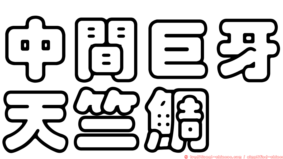 中間巨牙天竺鯛