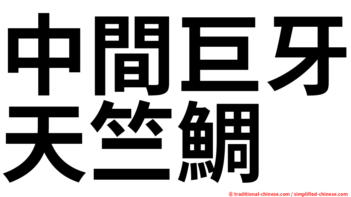 中間巨牙天竺鯛