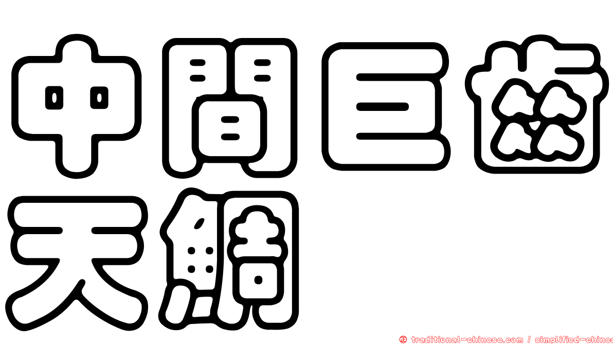 中間巨齒天鯛