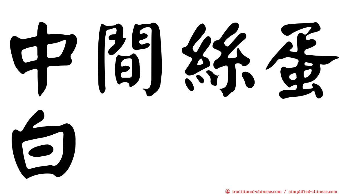 中間絲蛋白