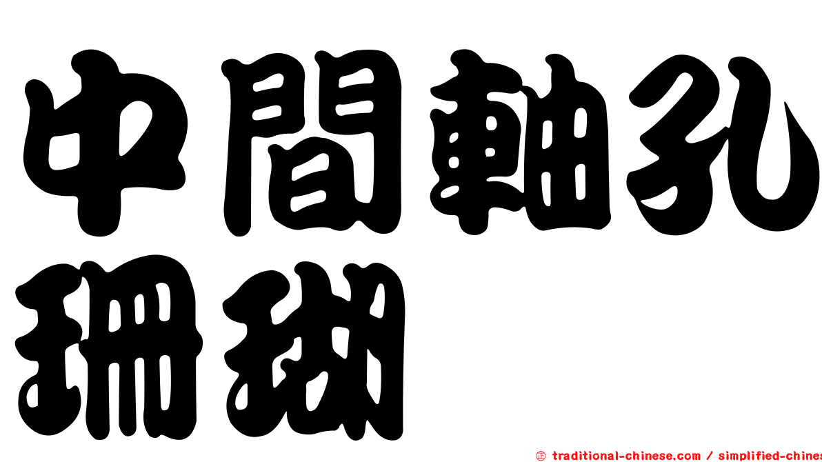 中間軸孔珊瑚