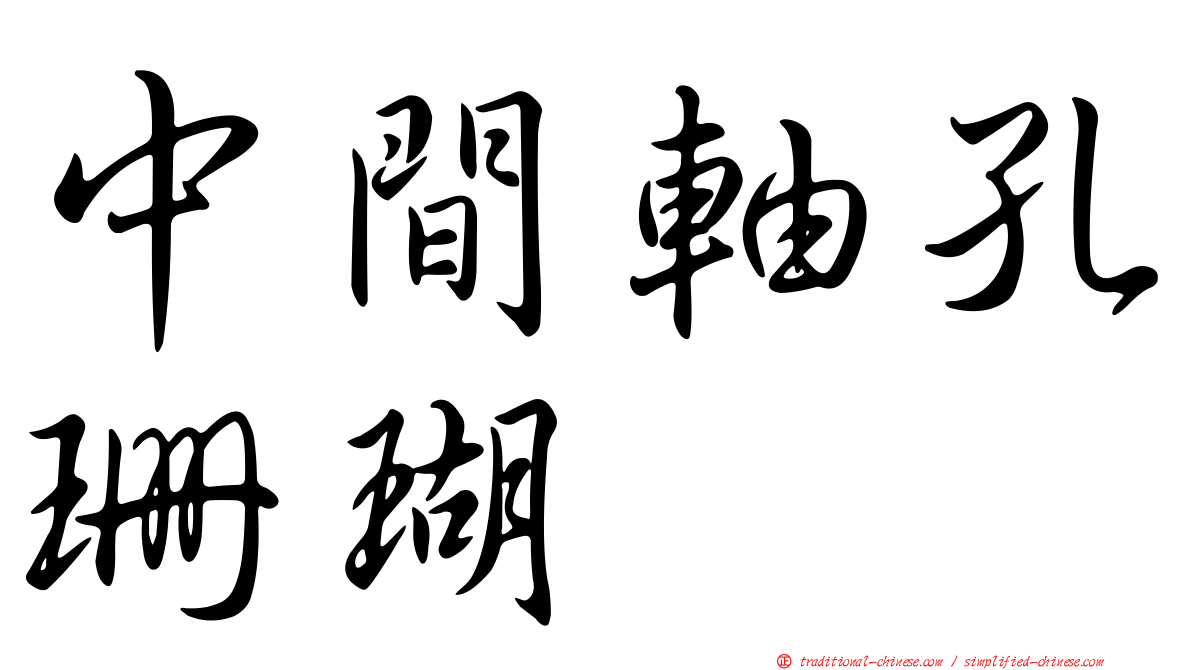 中間軸孔珊瑚
