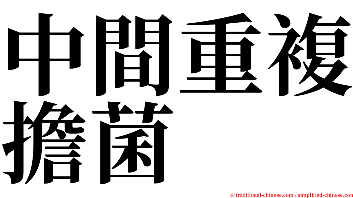 中間重複擔菌 serif font