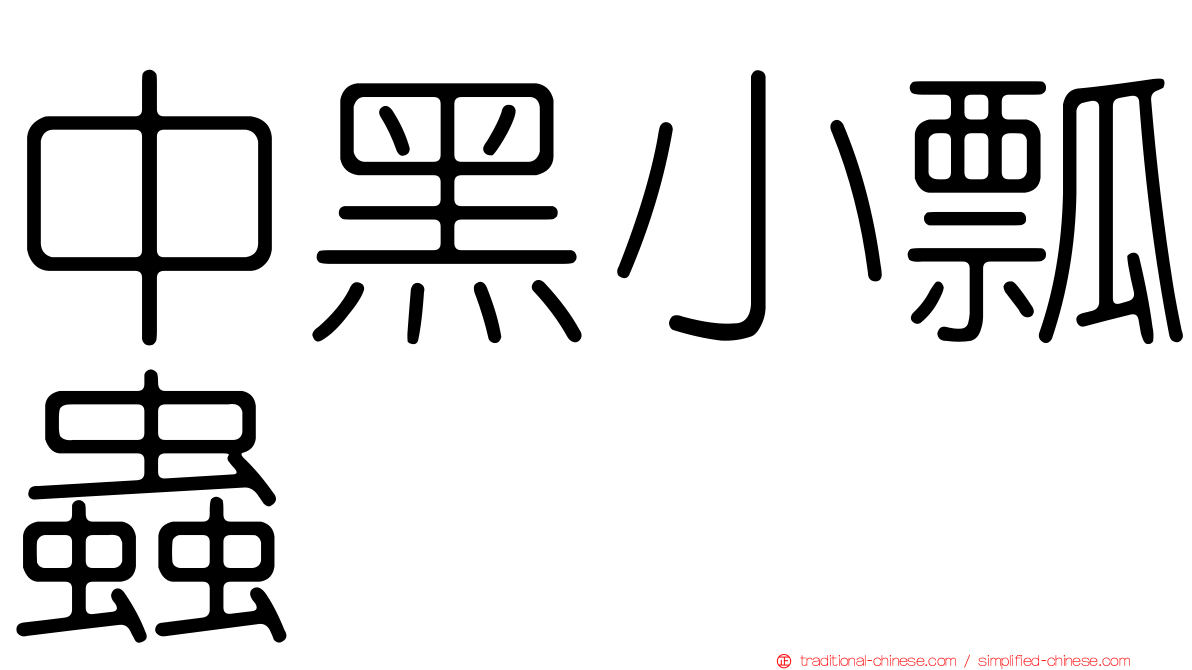中黑小瓢蟲