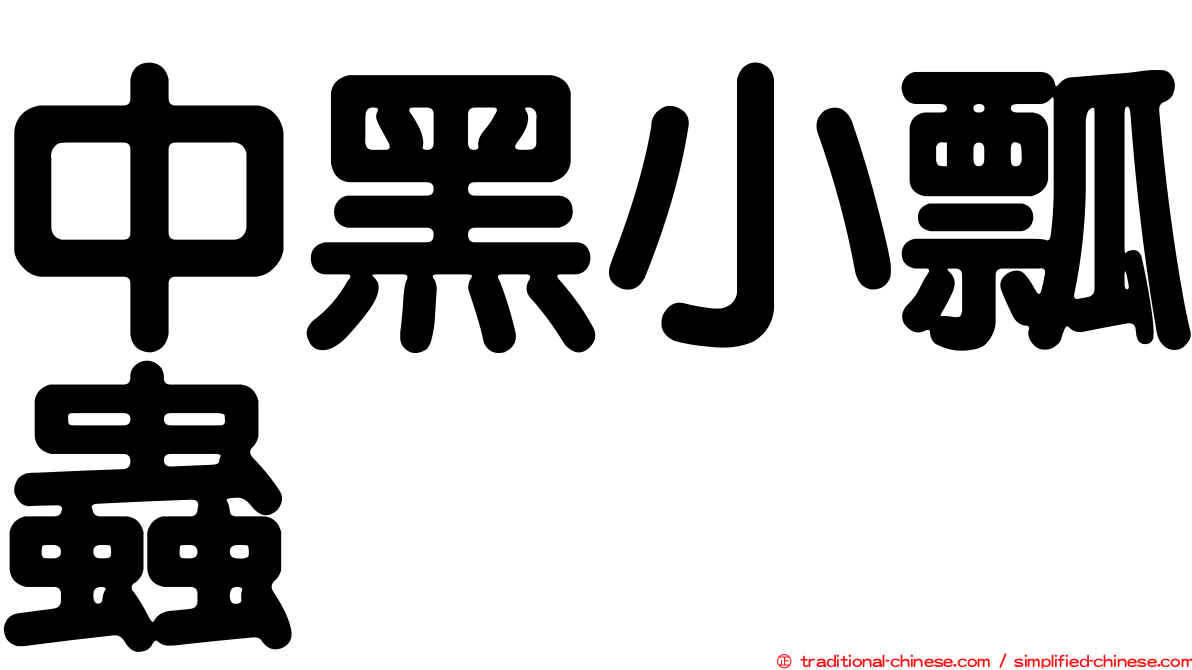 中黑小瓢蟲