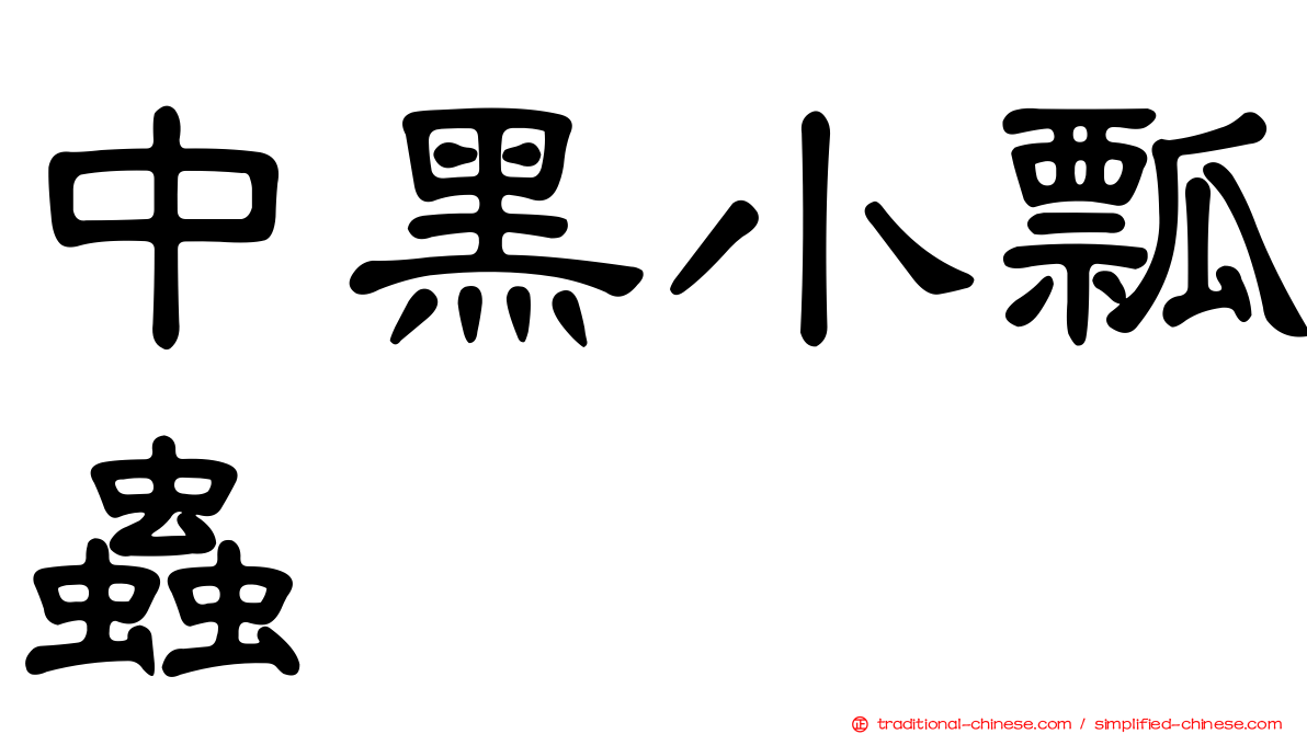 中黑小瓢蟲